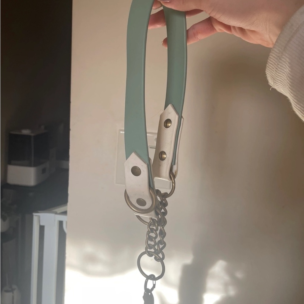 Biothane hands free leash and collar